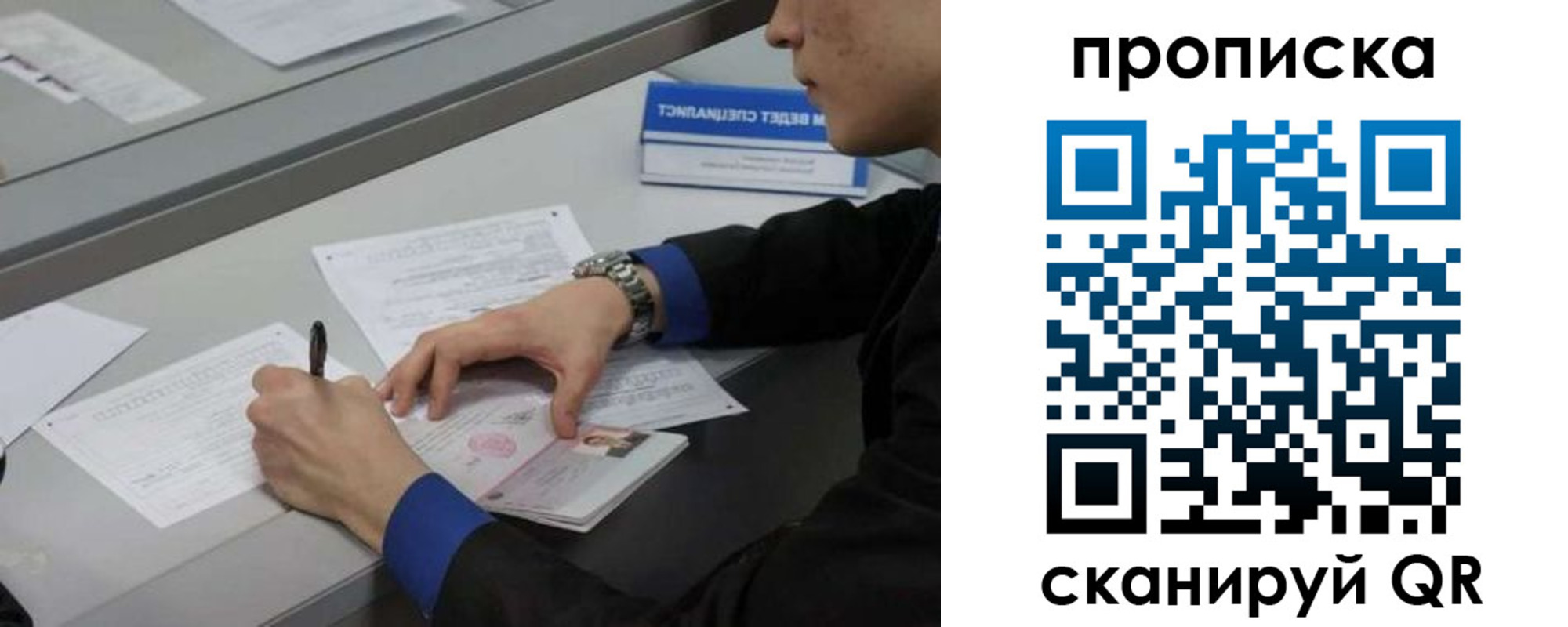 прописка для школы в Суворове